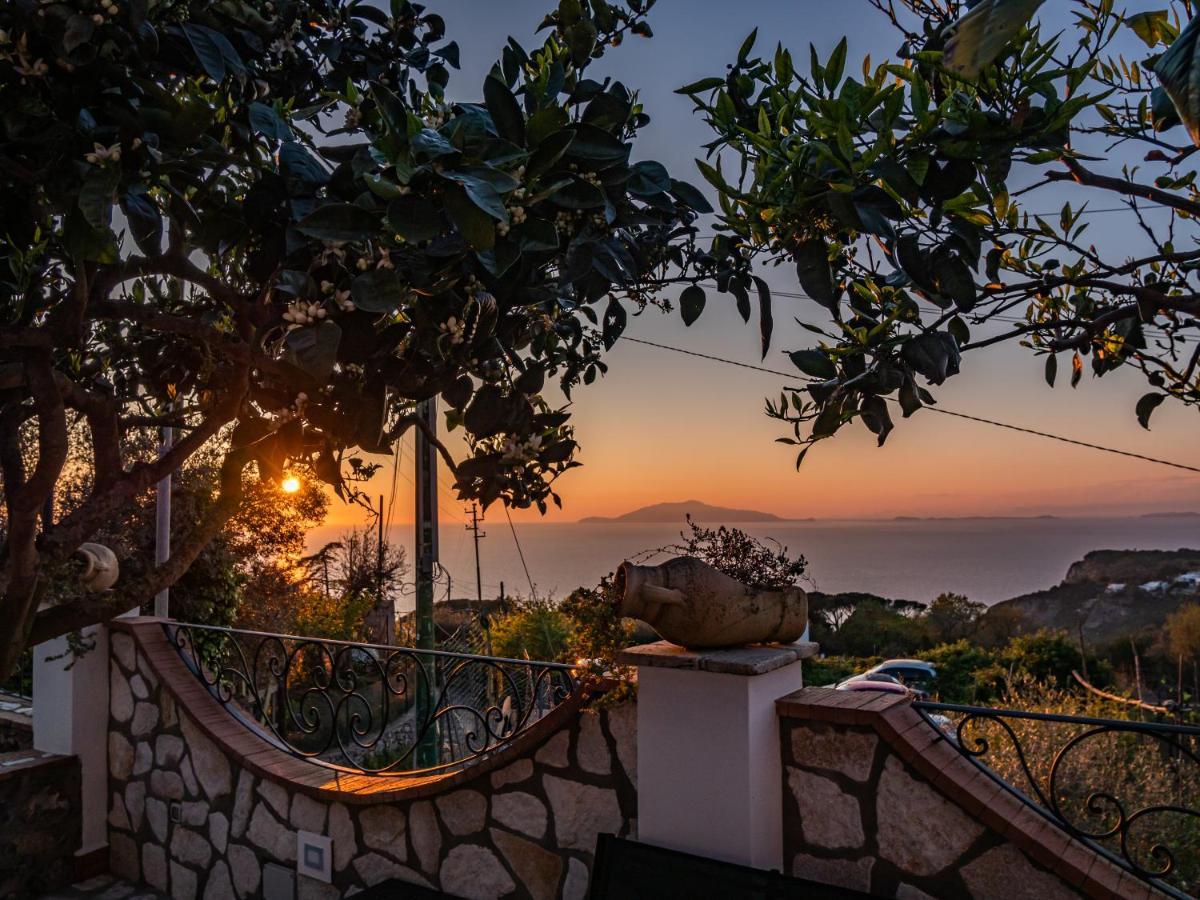 Casa Astra Bed & Breakfast Anacapri  Dış mekan fotoğraf